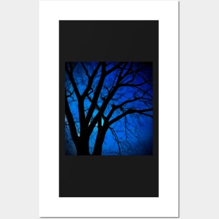 Spooky Tree Posters and Art